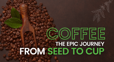 Coffee: The Epic Journey From Seed to Cup